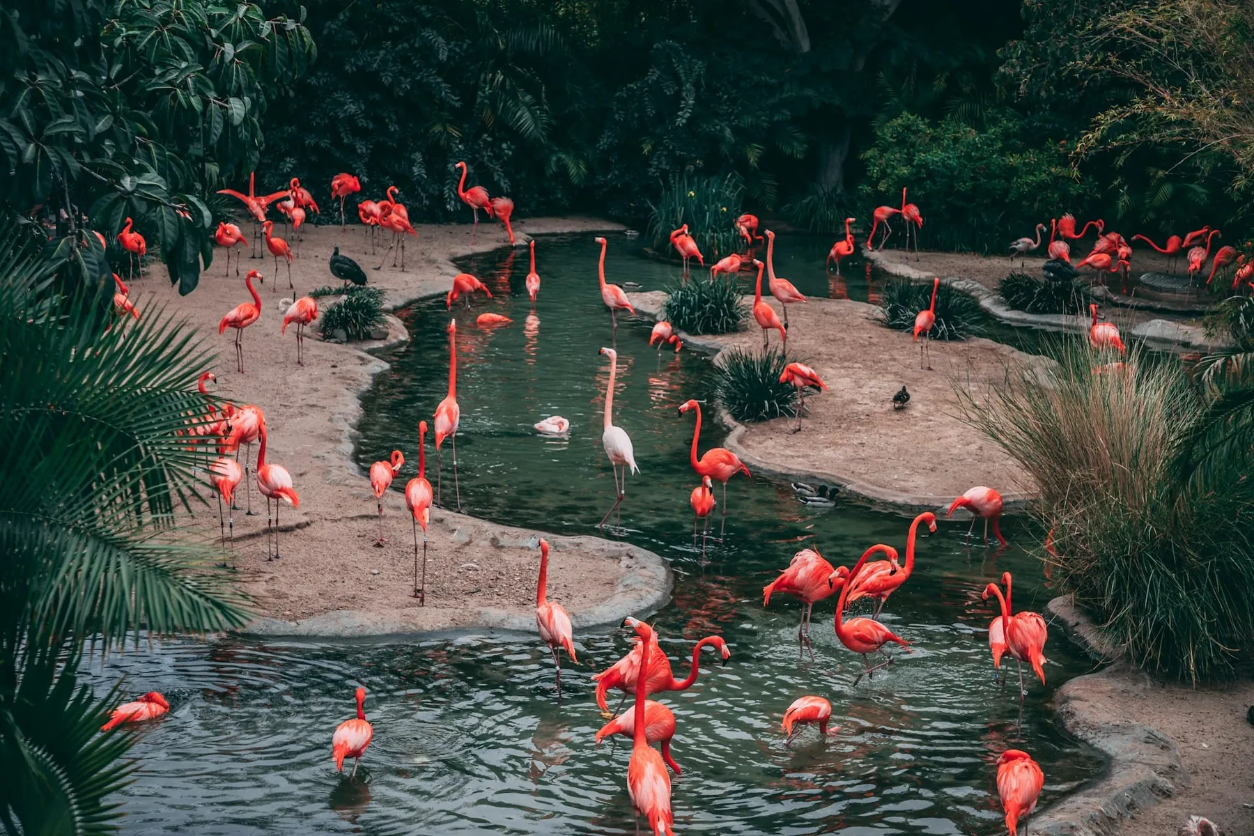 Kafka dumping Zookeeper has led to big system changes. Here's what you need to know.